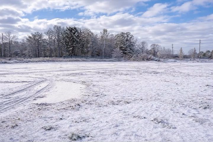 Ground-level photo of the vacant Livonia build-to-suit parcel under fresh snow, with a tree line and utility poles along the far edge and a partly cloudy sky.